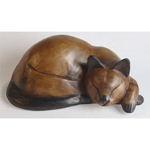 Sleeping Cat