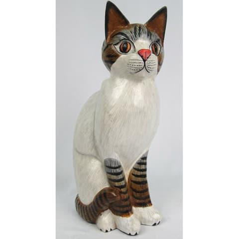 Coloured Cat
