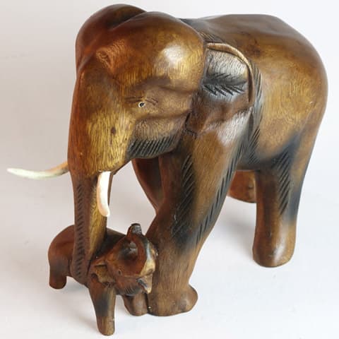 Elephant With Baby