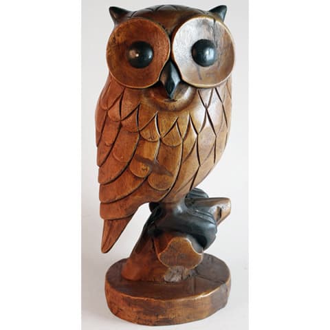 Owl