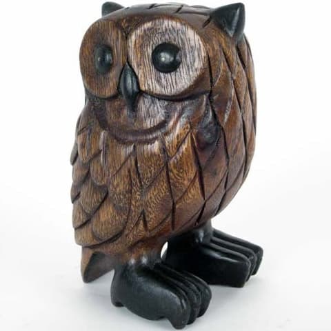 Owl